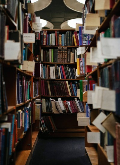 Example Image